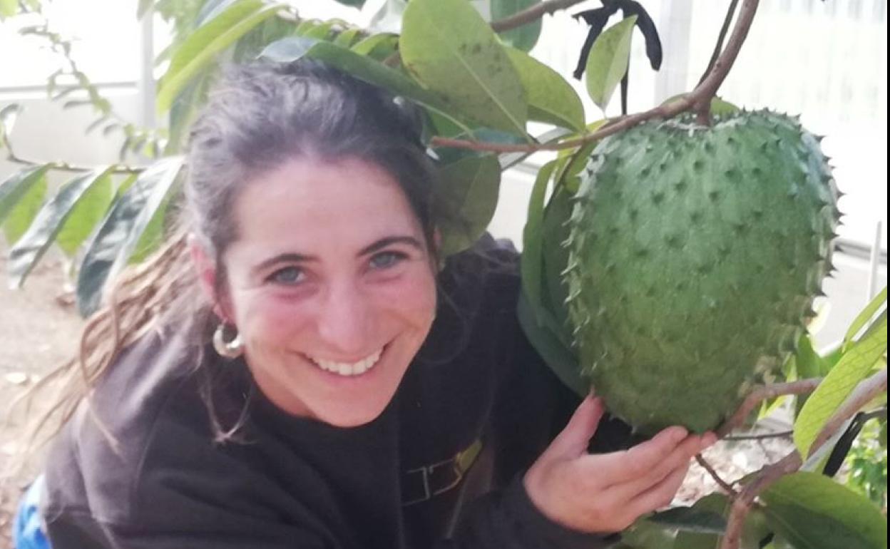 cual es la diferencia entre guanabana y chirimoya
